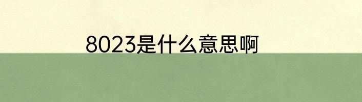8023是什么意思啊