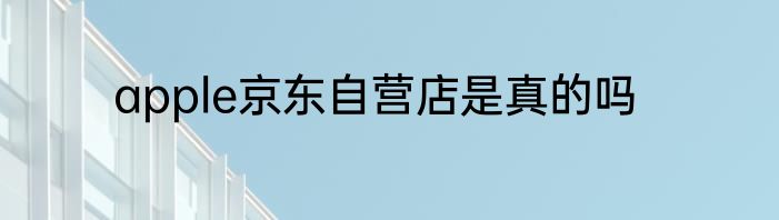 apple京东自营店是真的吗
