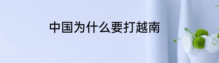 中国为什么要打越南