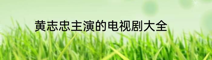 黄志忠主演的电视剧大全