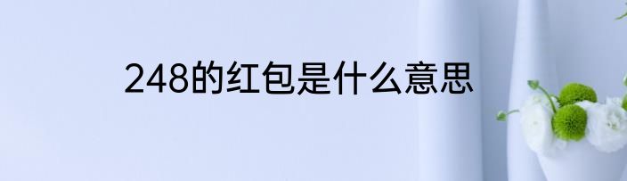 248的红包是什么意思