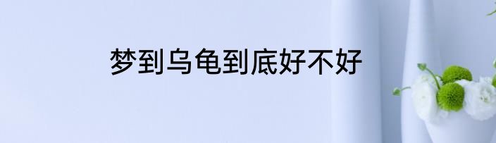 梦到乌龟到底好不好