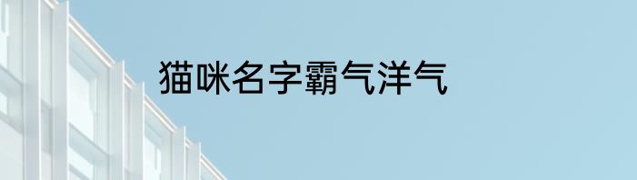 猫咪名字霸气洋气