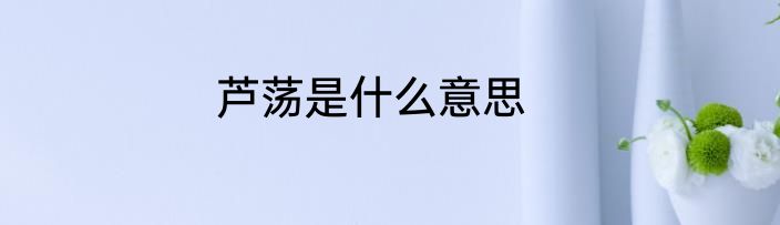 芦荡是什么意思