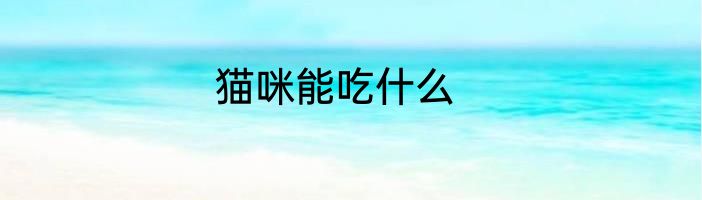 猫咪能吃什么
