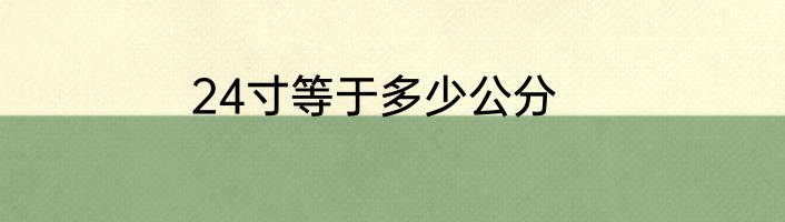 24寸等于多少公分