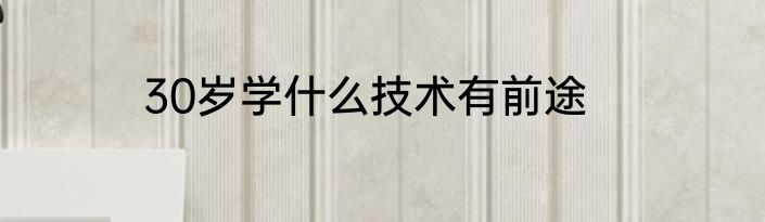 30岁学什么技术有前途