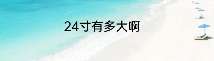 24寸有多大啊