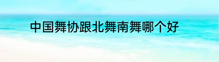 中国舞协跟北舞南舞哪个好