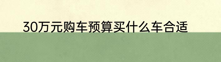 30万元购车预算买什么车合适