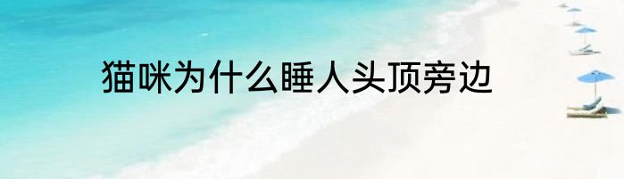 猫咪为什么睡人头顶旁边
