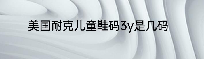 美国耐克儿童鞋码3y是几码