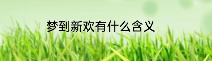 梦到新欢有什么含义