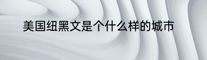 美国纽黑文是个什么样的城市