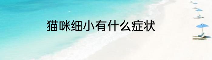 猫咪细小有什么症状