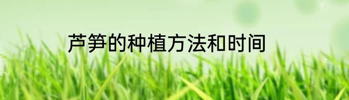 芦笋的种植方法和时间