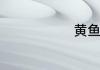 黄鱼汤怎么做