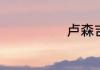 卢森吉他生产地