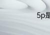 5p是什么意思