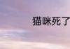 猫咪死了代表什么预兆