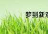 梦到新欢有什么含义