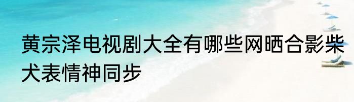 黄宗泽电视剧大全有哪些网晒合影柴犬表情神同步
