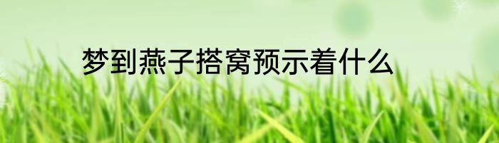 梦到燕子搭窝预示着什么