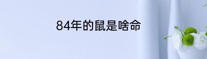 84年的鼠是啥命