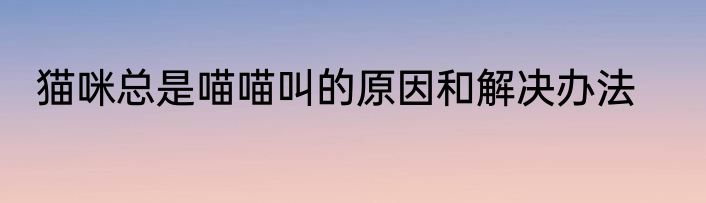 猫咪总是喵喵叫的原因和解决办法