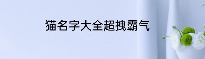 猫名字大全超拽霸气