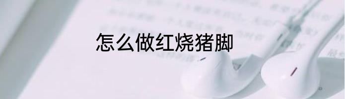 怎么做红烧猪脚