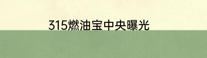 315燃油宝中央曝光