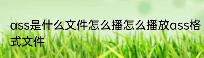 ass是什么文件怎么播怎么播放ass格式文件