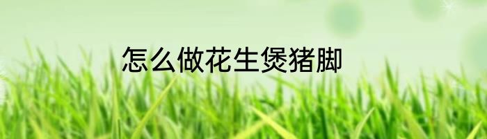 怎么做花生煲猪脚