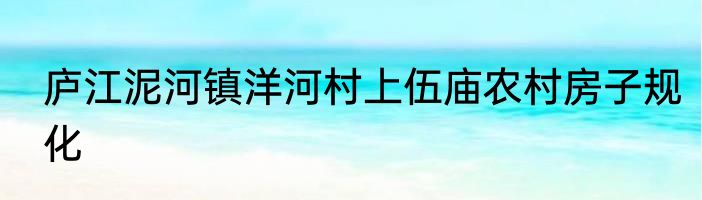 庐江泥河镇洋河村上伍庙农村房子规化