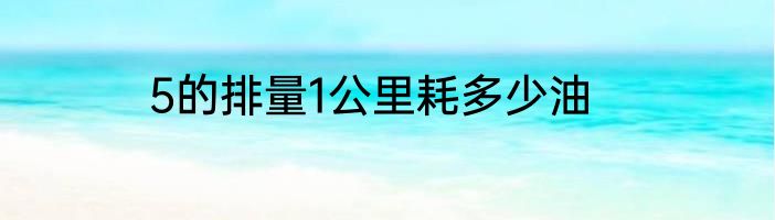 5的排量1公里耗多少油