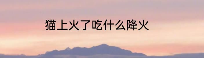 猫上火了吃什么降火