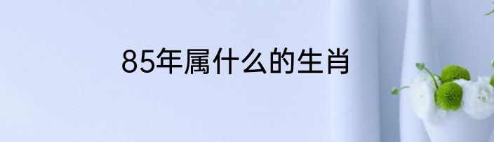 85年属什么的生肖