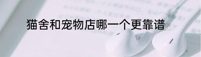猫舍和宠物店哪一个更靠谱