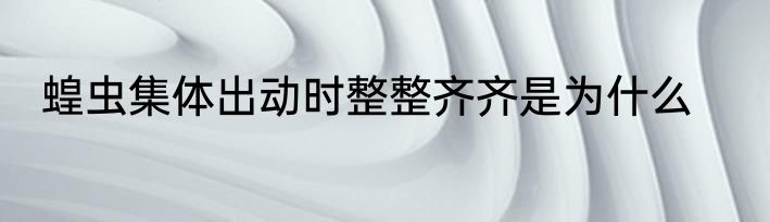 蝗虫集体出动时整整齐齐是为什么