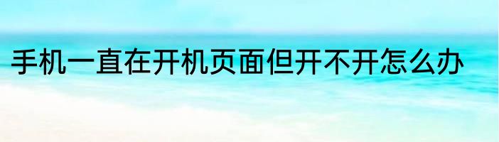 手机一直在开机页面但开不开怎么办