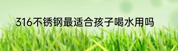 316不锈钢最适合孩子喝水用吗