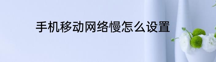 手机移动网络慢怎么设置