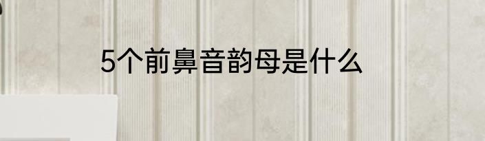 5个前鼻音韵母是什么