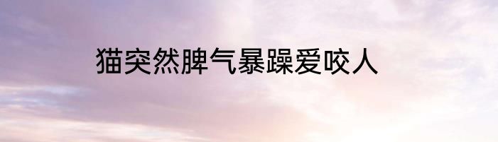 猫突然脾气暴躁爱咬人