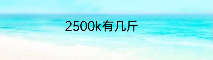 2500k有几斤