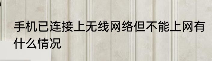 手机已连接上无线网络但不能上网有什么情况