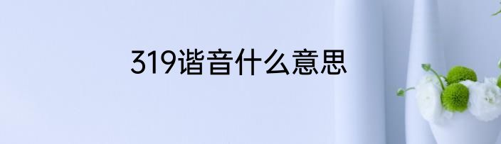 319谐音什么意思