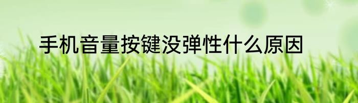 手机音量按键没弹性什么原因