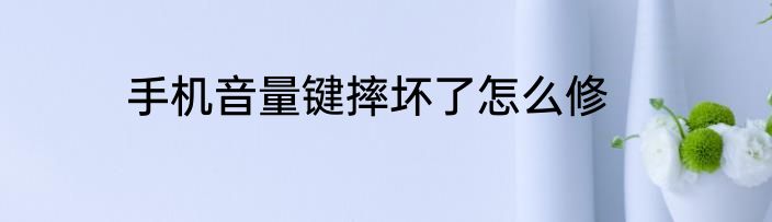 手机音量键摔坏了怎么修